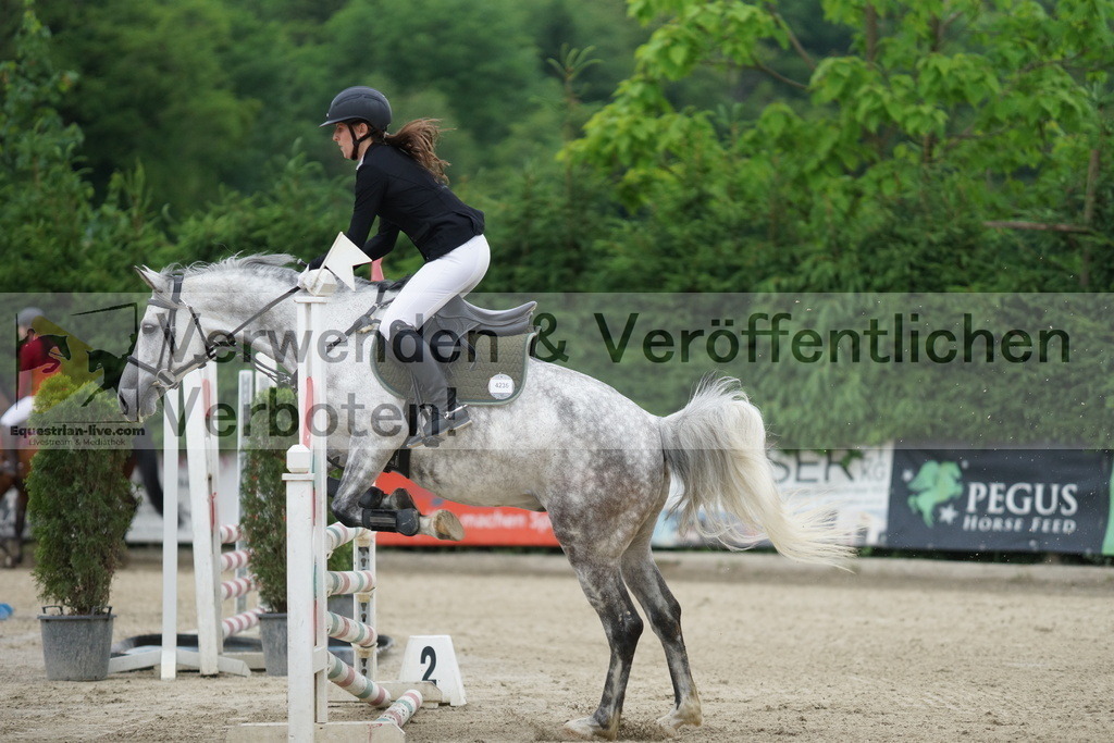 DSC07663 | equestrian-live-com