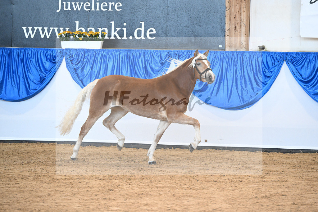 Bl. Band Kat-Nr. 6 Soey v. Wendelin_Noak_48241104 | hf-fotografie - Realisiert mit Pictrs.com