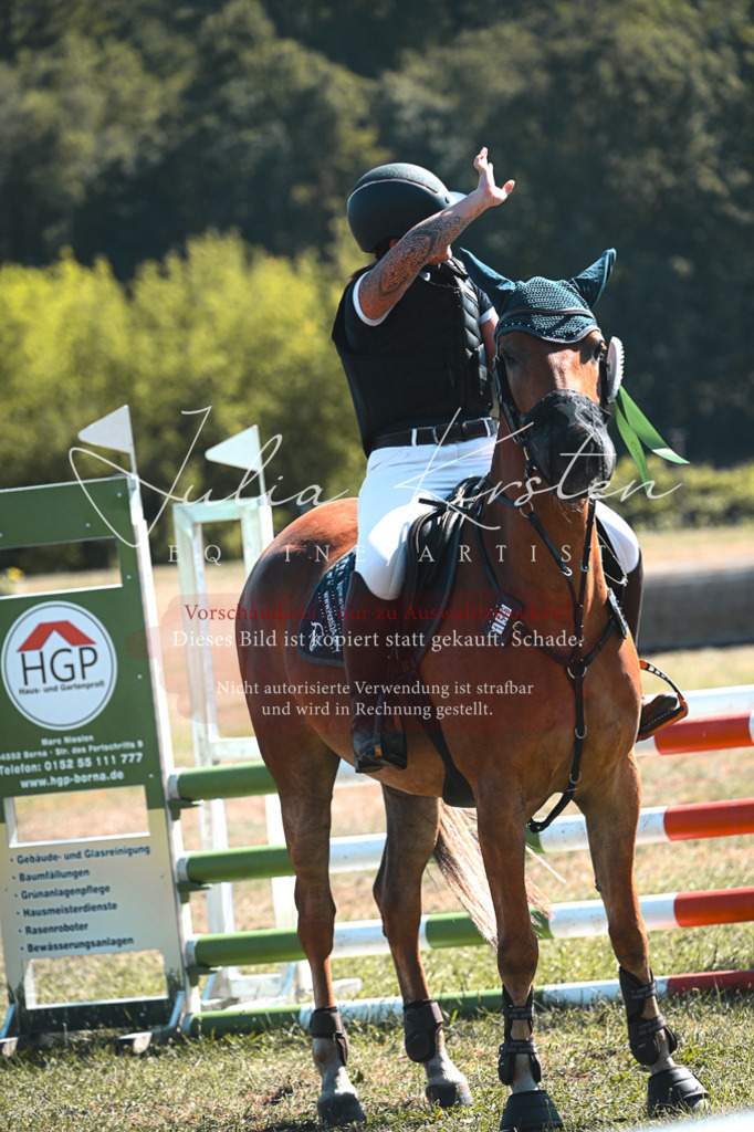 DSC_8431 | Pferde- und Turnierfotografie in Westsachsen. Pferdeportraits, Auftragszeichnungen und intuitive Kunst.