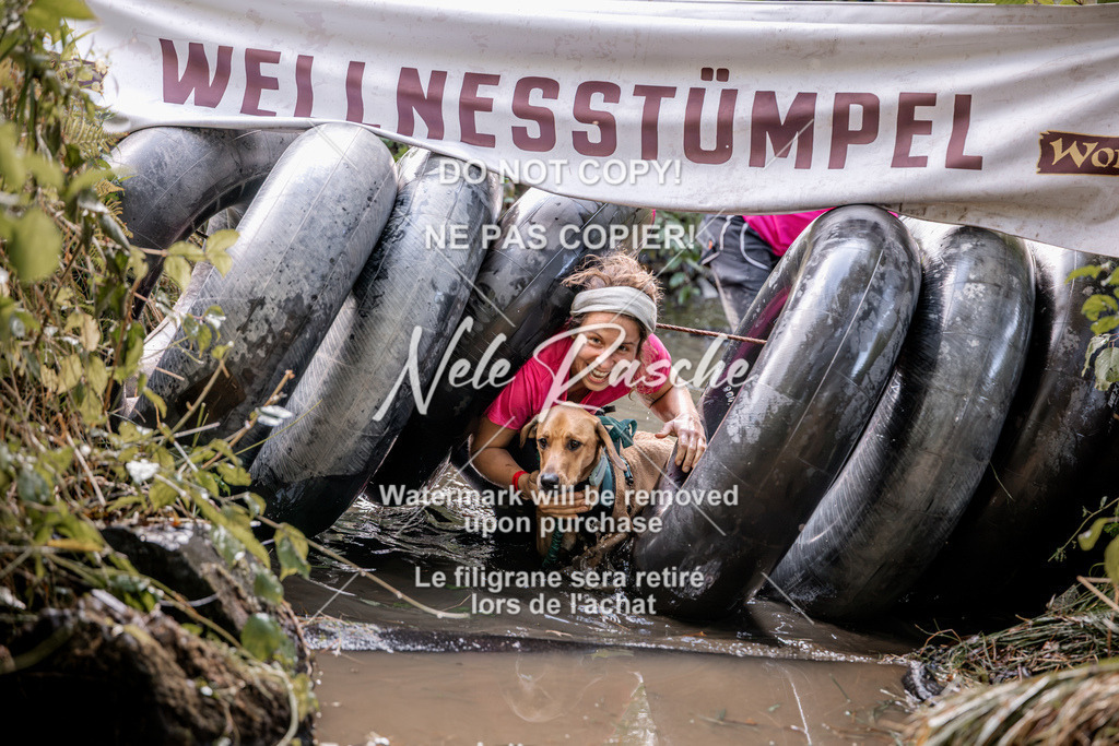 nelerasche_Hunsrück2026_Sa1400-1500_303 | nelerasche