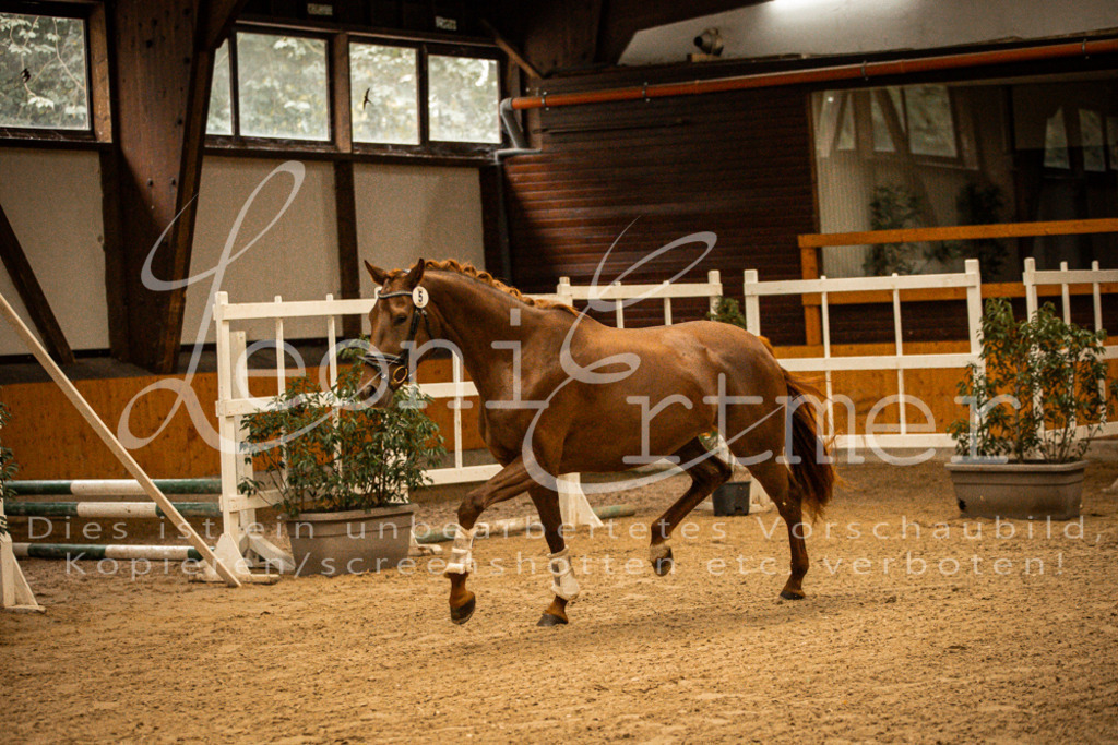 1FS_L00069 | Leoni Ertmer Photography - Realisiert mit Pictrs.com