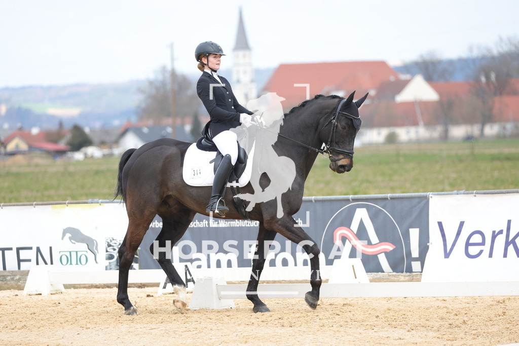 0P6A7063 | Willkommen bei Brunnmayr - Design & Fotografie – Ihrem Spezialisten für Reitturniere und Pferdeveranstaltungen in Oberösterreich, Salzburg und Bayern! Seit über 17 Jahren sind wir leidenschaftlich dabei.