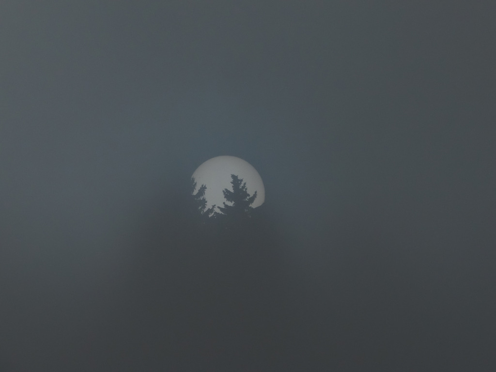 PSX_20230303_232619 | mtkfoto_ - Realisiert mit Pictrs.com