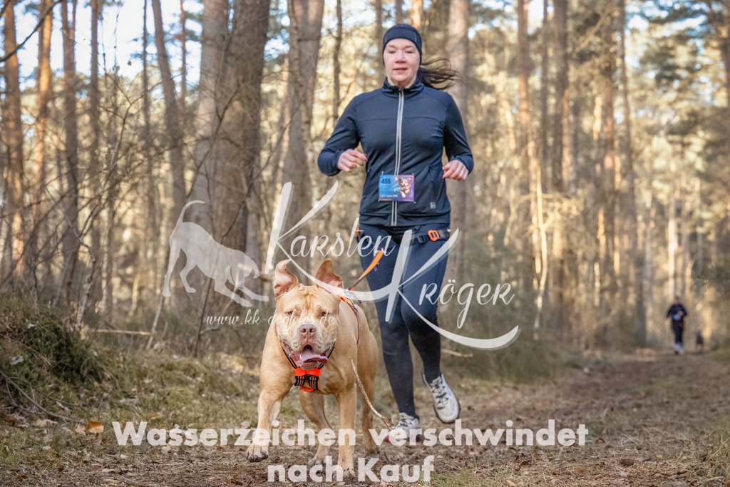 0830_ZZ91420-Bearbeitet | kk-dogfotos