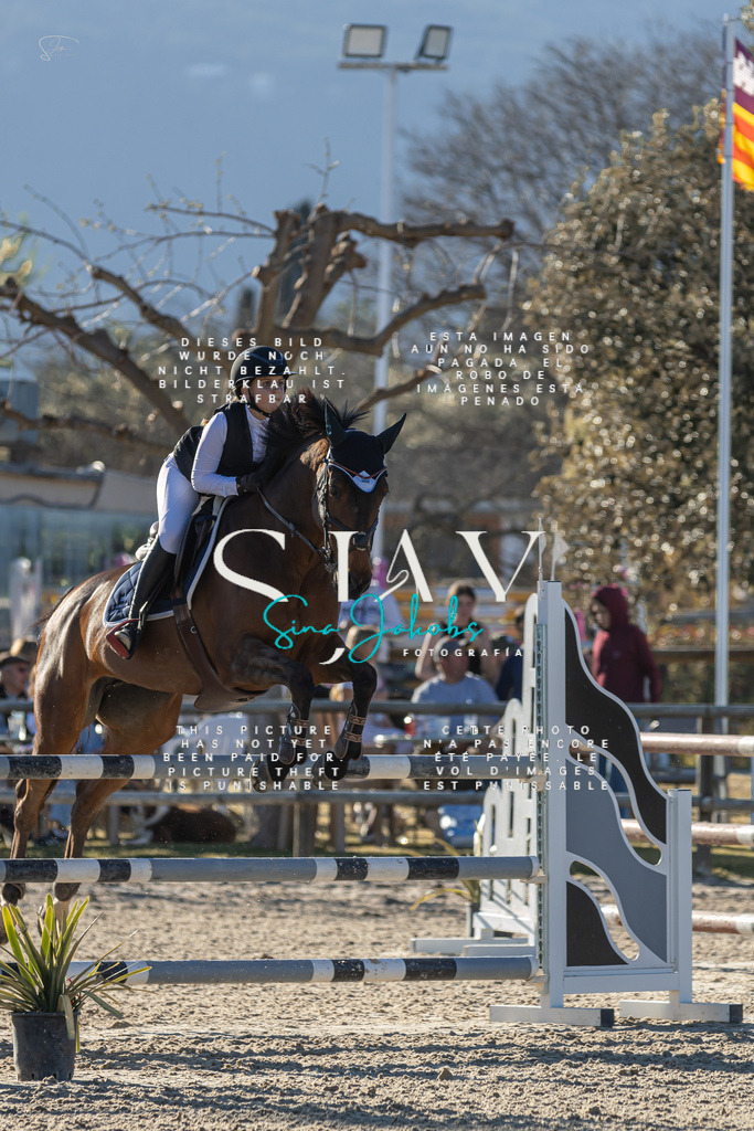 IMG_2224 | s-jay-photography - Realisiert mit Pictrs.com