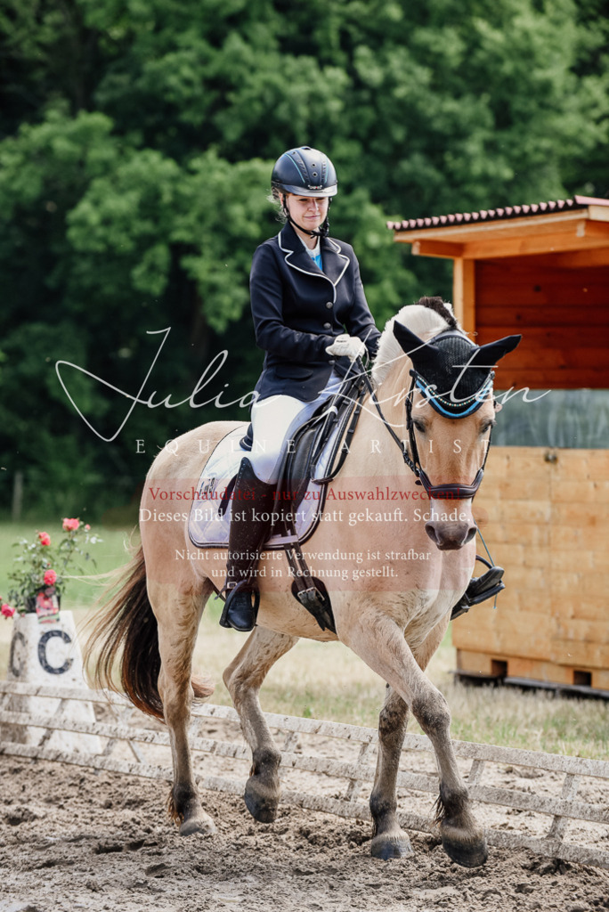 DSC_1627 | Pferde- und Turnierfotografie in Westsachsen. Pferdeportraits, Auftragszeichnungen und intuitive Kunst.