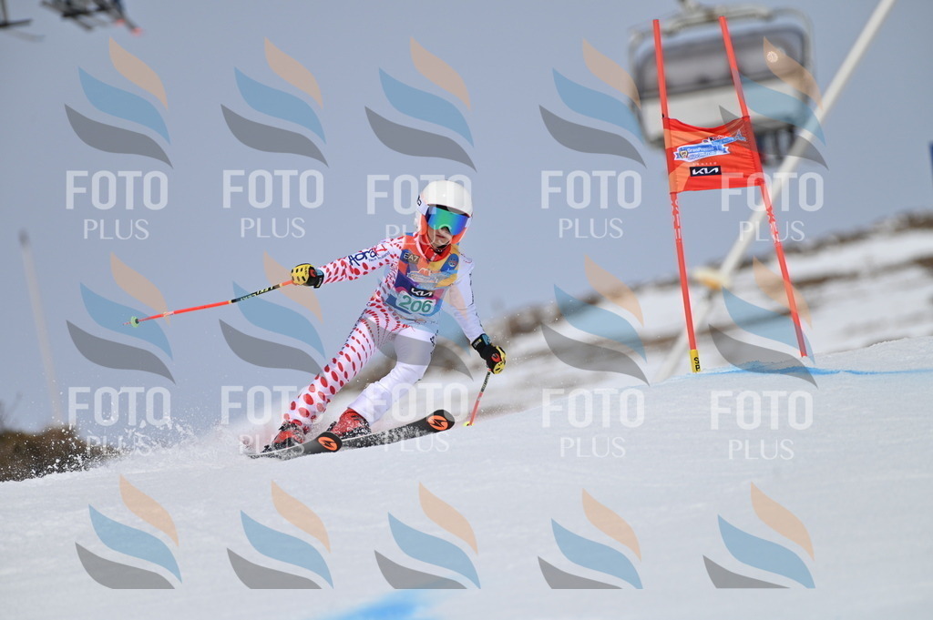 BGV_3969 | holidayphoto