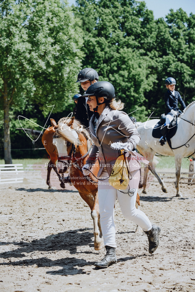 DSC_2366 | Pferde- und Turnierfotografie in Westsachsen. Pferdeportraits, Auftragszeichnungen und intuitive Kunst.
