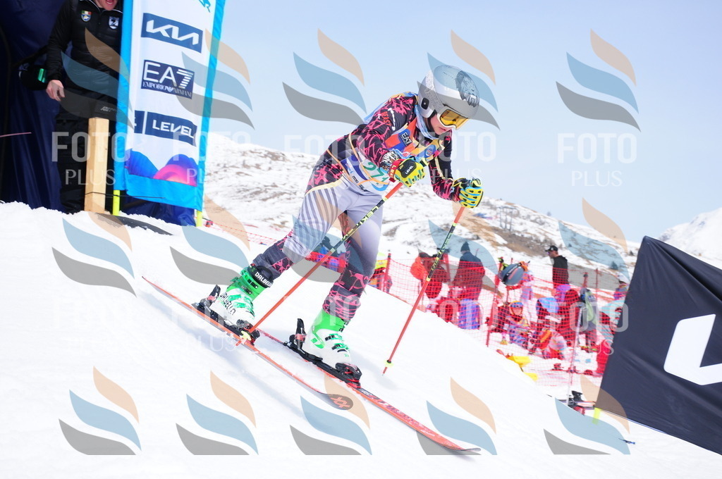 DSC_2594 | holidayphoto