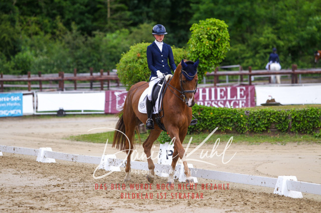 DKP47370 | Turniersportfotografie; Pferdefotografie; Dressurfotografie