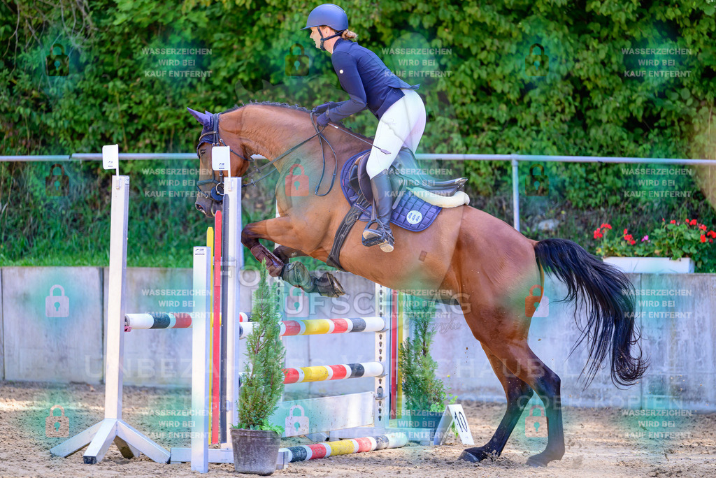 29082026-Giesenbach-Prfg10-0757 | Fokus Hufschlag Fotografie - Realisiert mit Pictrs.com