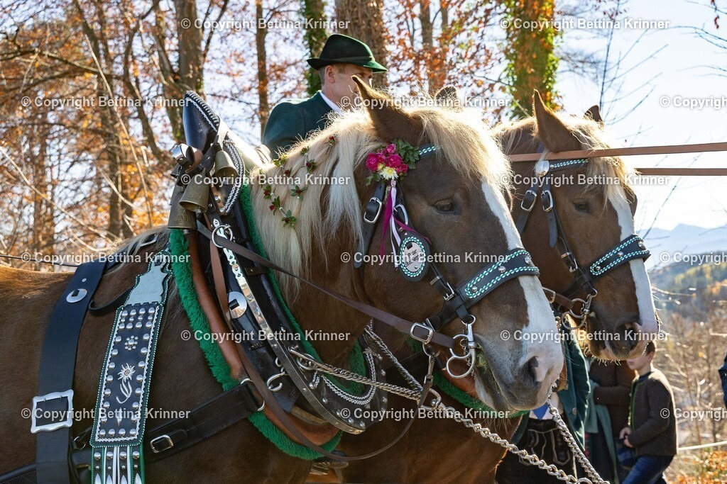 LBT25-1290 | foto-bettina-krinner - Realisiert mit Pictrs.com