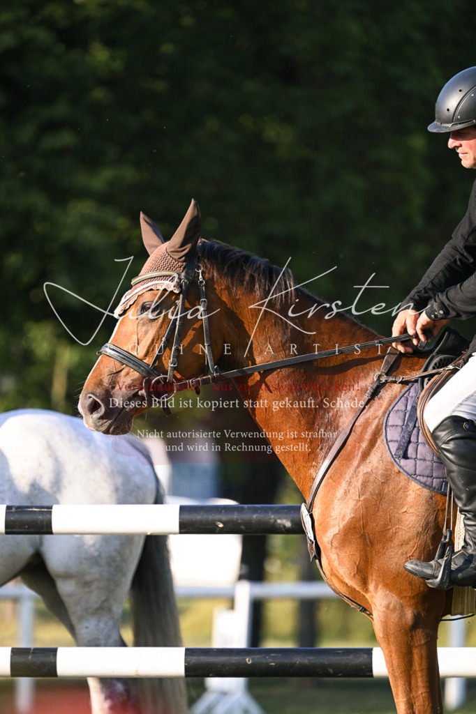 DSC_1840 | Pferde- und Turnierfotografie in Westsachsen. Pferdeportraits, Auftragszeichnungen und intuitive Kunst.