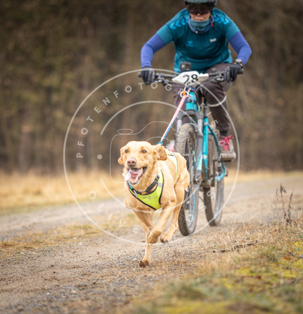 DV3A3327 | Hundefotografie, Tierfotograf, Pfotenfotografie, Fotoshooting Hund, Hunde Portrait, Hundesport, Hundeportraits, Heideshooting, Hunde, Sportfotograf, Hundefotograf, Turnierhundsport, THS,  - Realisiert mit Pictrs.com