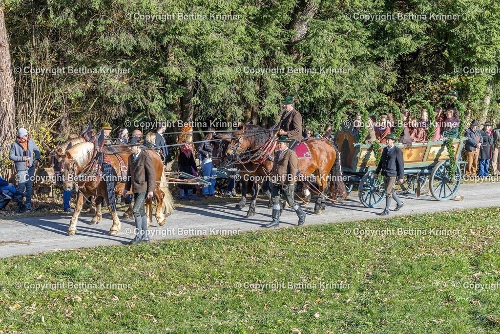 LBT25-466 | foto-bettina-krinner - Realisiert mit Pictrs.com