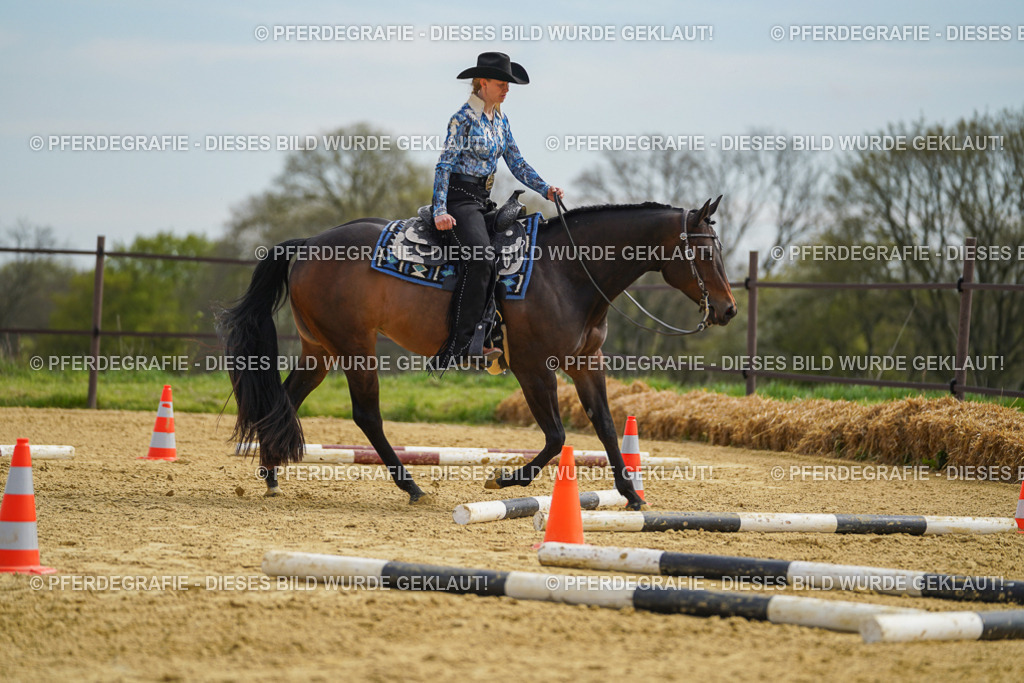 DSC03568 | Pferdegrafie