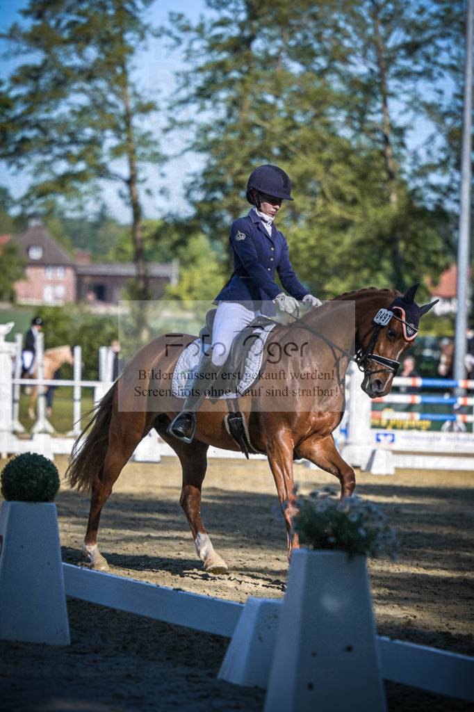 DOS_4877 | Entdecke hochwertige Reitturnierfotos von Foto Oger. Professionell, emotional und authentisch – jetzt Lieblingsmomente im Shop bestellen.Deutschlandweite Turnierfotografie. - Realisiert mit Pictrs.com