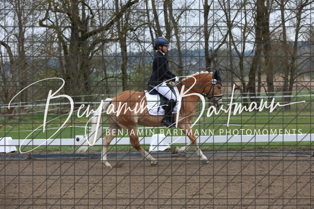 AZ2A3947 | Benjamin Bartmann Photomoments