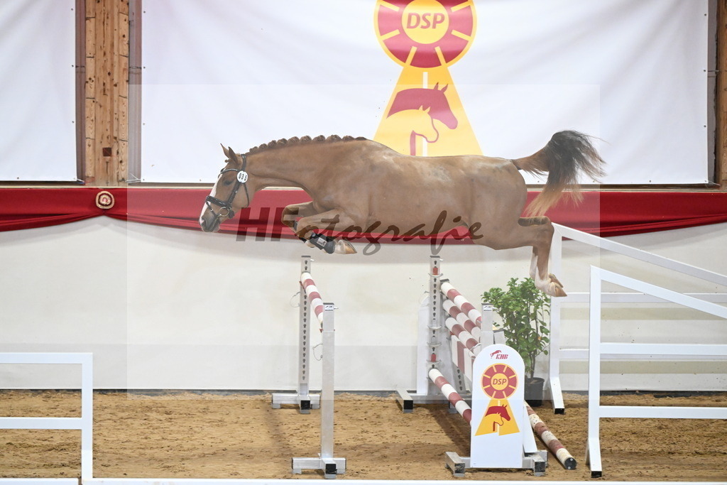 Kat.-Nr. 35 v. Ogano Sitte_Hannöver_2251261 | hf-fotografie - Realizzato con Pictrs.com