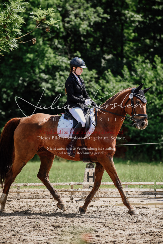 DSC_1353 | Pferde- und Turnierfotografie in Westsachsen. Pferdeportraits, Auftragszeichnungen und intuitive Kunst.
