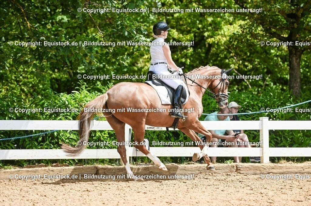20230716_03_Dressurprfg. Kl.L - Tr._0525 | equistock