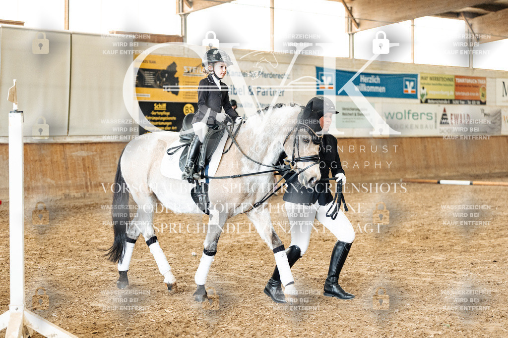 CK906087 | Turnierfotografie Pferdefotografie Trier Rheinland-Pfalz Pferdesport Reitsport Tierfotografie Sportfotografie Pferdevideo Pferdevideografie Equestrianvideography equestrianphotography  - Realized with Pictrs.com