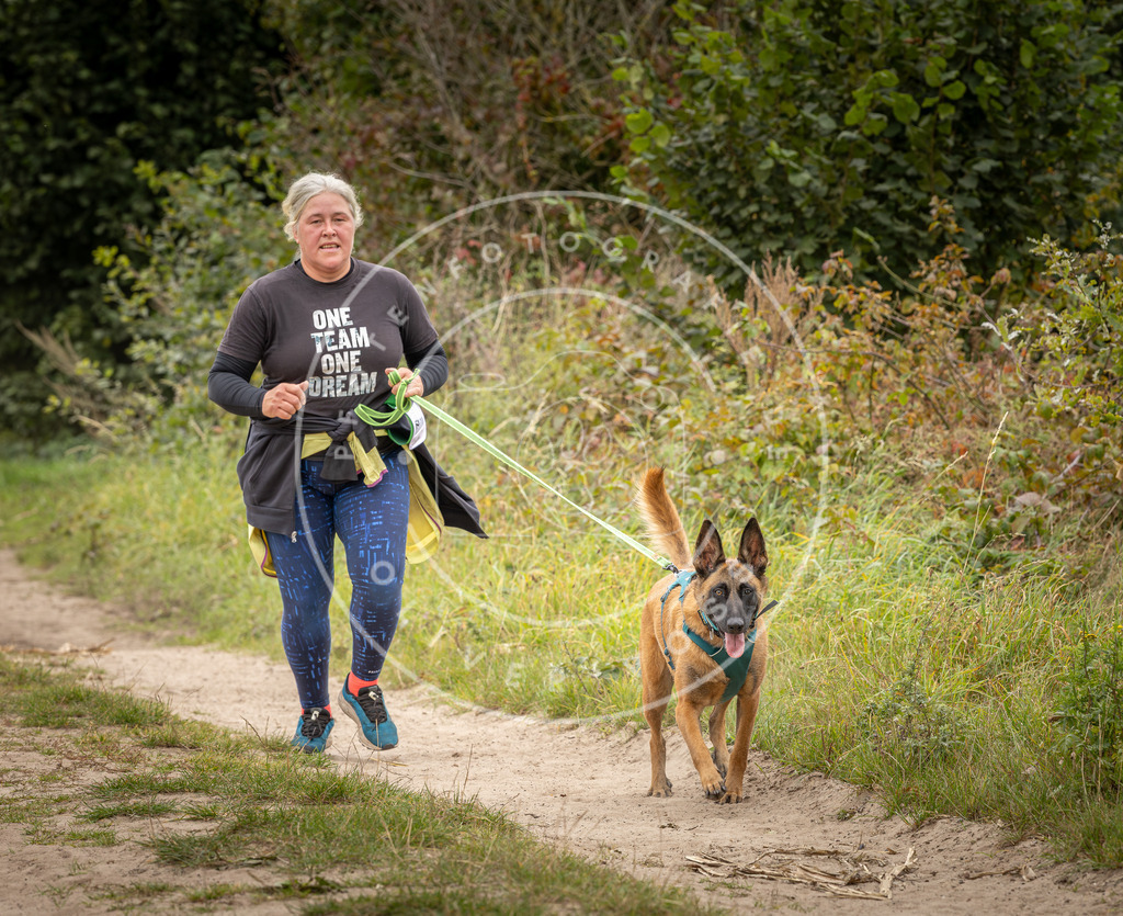 Pfotenfotografie_DV3A8411 | Hundefotografie, Tierfotograf, Pfotenfotografie, Fotoshooting Hund, Hunde Portrait, Hundesport, Hundeportraits, Heideshooting, Hunde, Sportfotograf, Hundefotograf, Turnierhundsport, THS,  - Realisiert mit Pictrs.com