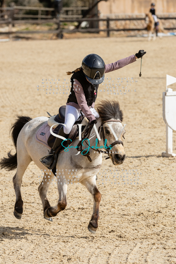 IMG_4446 | s-jay-photography - Realisiert mit Pictrs.com