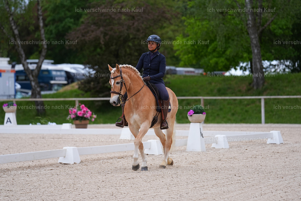 PI26_DR_241_Stoibphotography_SIN05912.jpg | working equitationturnier fotograf videograf stoibphotography marixx film working equitation deutschland reitsport turnierfotografie eventfotografie equestrian events