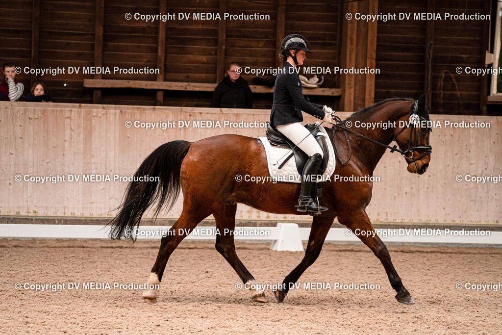 Dressur Tag 2-342 | dv-media-shop - Realisiert mit Pictrs.com