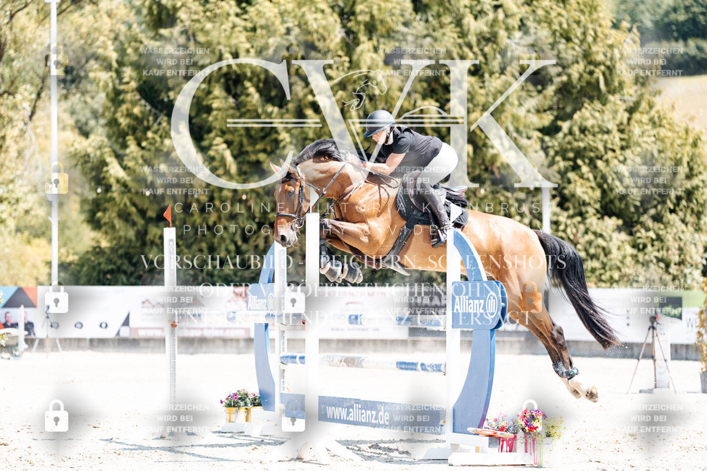 CK900574 | Turnierfotografie Pferdefotografie Trier Rheinland-Pfalz Pferdesport Reitsport Tierfotografie Sportfotografie Pferdevideo Pferdevideografie Equestrianvideography equestrianphotography  - Realisiert mit Pictrs.com