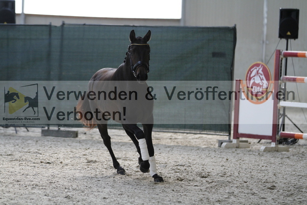 _MG_9425 | equestrian-live-com