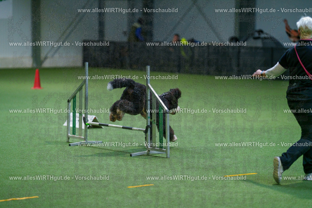 7R502669 | Professionelle Tierfotografie in Mönchengladbach von Daniel Wirth (allesWIRTHgut). Liebevolle & natürliche Bilder von Hunden & Katzen für unvergessliche Erinnerungen.