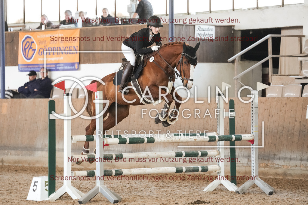 DSC00142 | Reitturnier_Göppingen_April_2026, Jule_Frech, Albertino_40