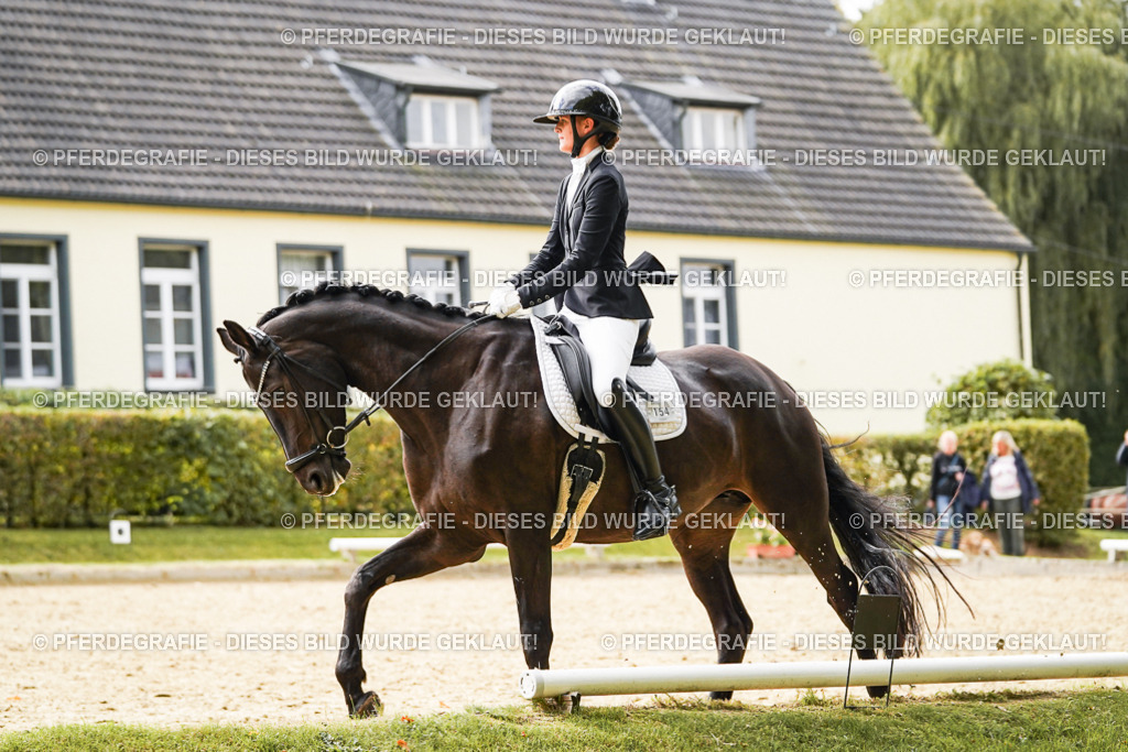 DSC00829 | Pferdegrafie