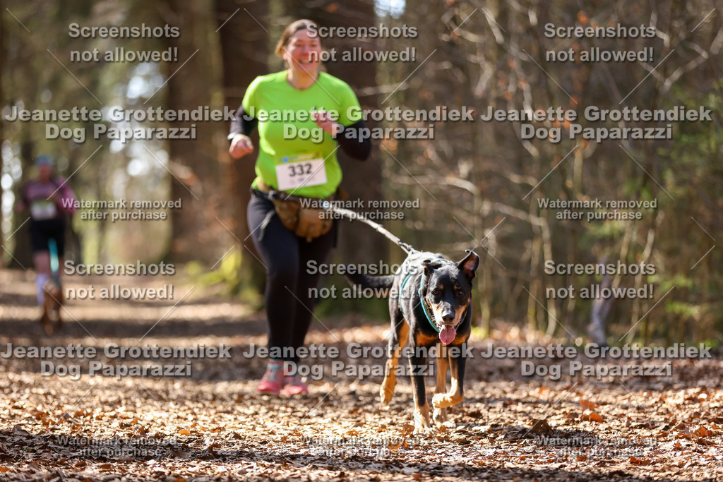 Dog Paparazzi - VCC26-1329 | Dog Paparazzi Jeanette Grottendiek Fotografie & Videografie - Realisiert mit Pictrs.com