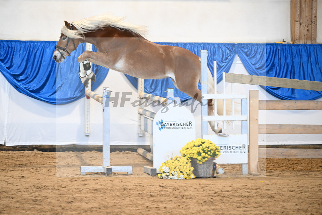 Kat-Nr. 33 Nokiano B v. Novastar_Bleicher_48250682 | hf-fotografie - Realisiert mit Pictrs.com