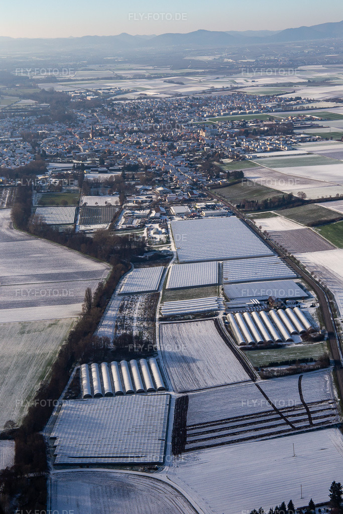 Luftbild: Gewächs- und Folienhäuser im Osten im Winter bei Schnee in Herxheim bei Landau im Bundesland Rheinland-Pfalz in Deutschland. Foto: IMG_135506.jpg vom 16.12.2022 durch Werner Riehm/FLY-FOTO.de
