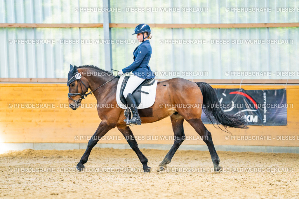 DSC08258 | Pferdegrafie