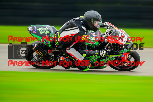 MaZZes_Fotomatrix_20241003_6007705_9823 | GELB