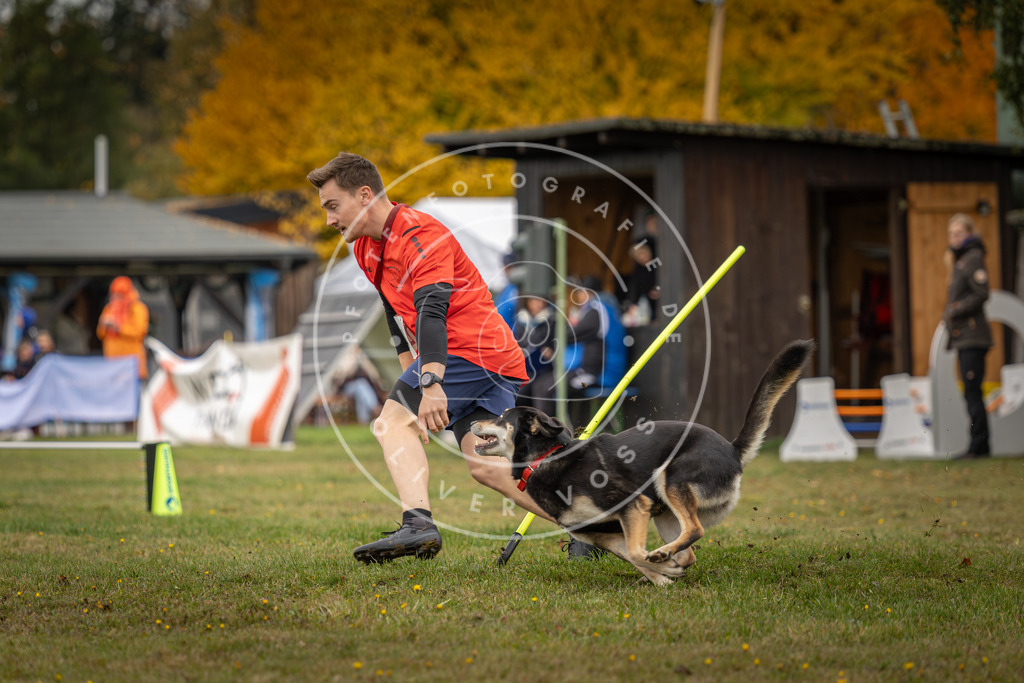 Pfotenfotografie_DV3A5011 | Hundefotografie, Tierfotograf, Pfotenfotografie, Fotoshooting Hund, Hunde Portrait, Hundesport, Hundeportraits, Heideshooting, Hunde, Sportfotograf, Hundefotograf, Turnierhundsport, THS,  - Realisiert mit Pictrs.com