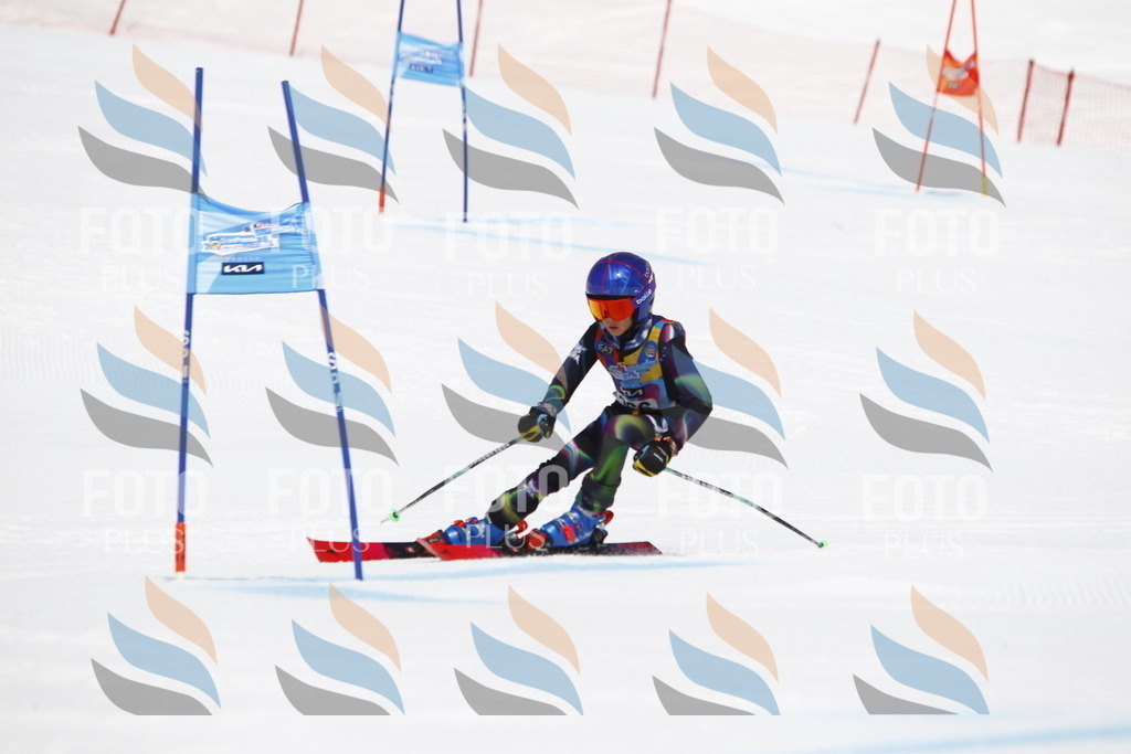 _U3G6668 | holidayphoto