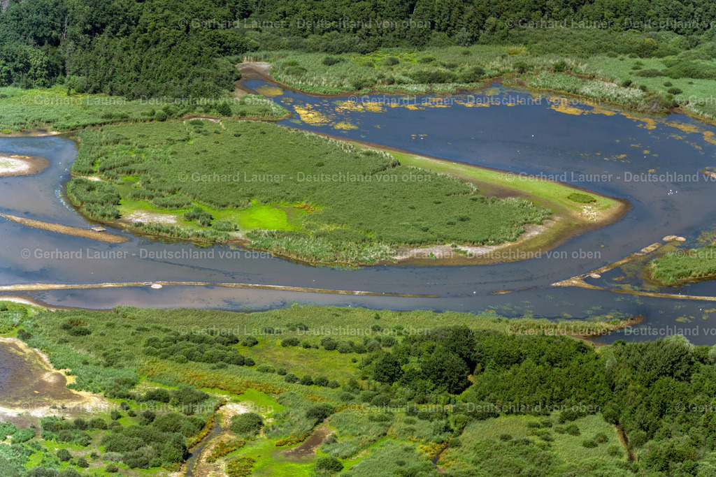 4036236 | BRAUNSCHWEIG 31.07.2020 Uferbereiche mit Verlandungen im Ortsteil Wabe-Schunter-Beberbach in Braunschweig im Bundesland Niedersachsen, Deutschland. // Shore areas with silting up in the district Wabe-Schunter-Beberbach in Braunschweig in the state Lower Saxony, Germany. Foto: Gerhard Launer