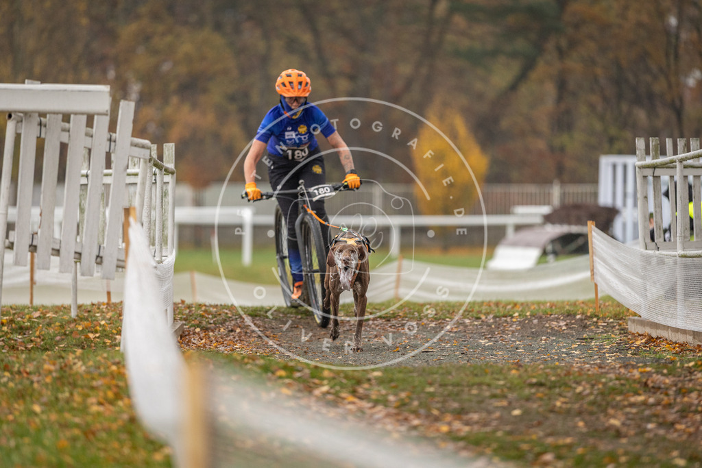 CaniXpix_DV3A8337 | Hundefotografie, Tierfotograf, Pfotenfotografie, Fotoshooting Hund, Hunde Portrait, Hundesport, Hundeportraits, Heideshooting, Hunde, Sportfotograf, Hundefotograf, Turnierhundsport, THS,  - Realisiert mit Pictrs.com