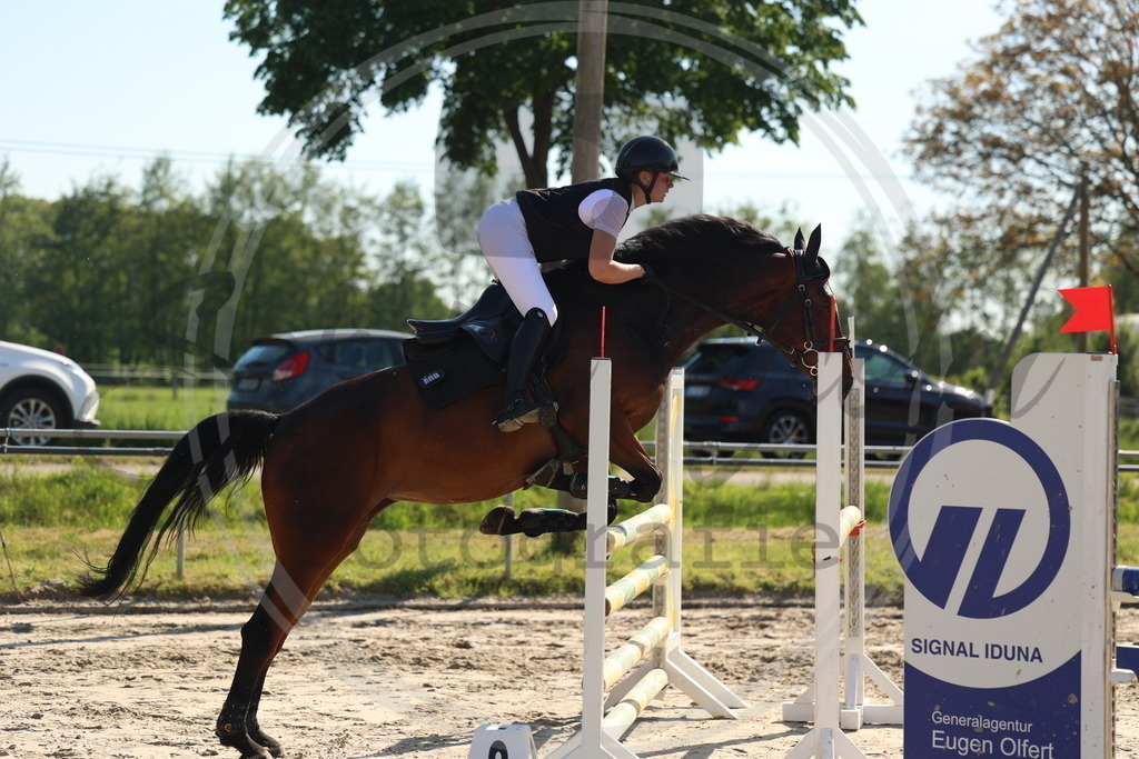 994A6146 | sabrinanicolaifotografie - Realisiert mit Pictrs.com