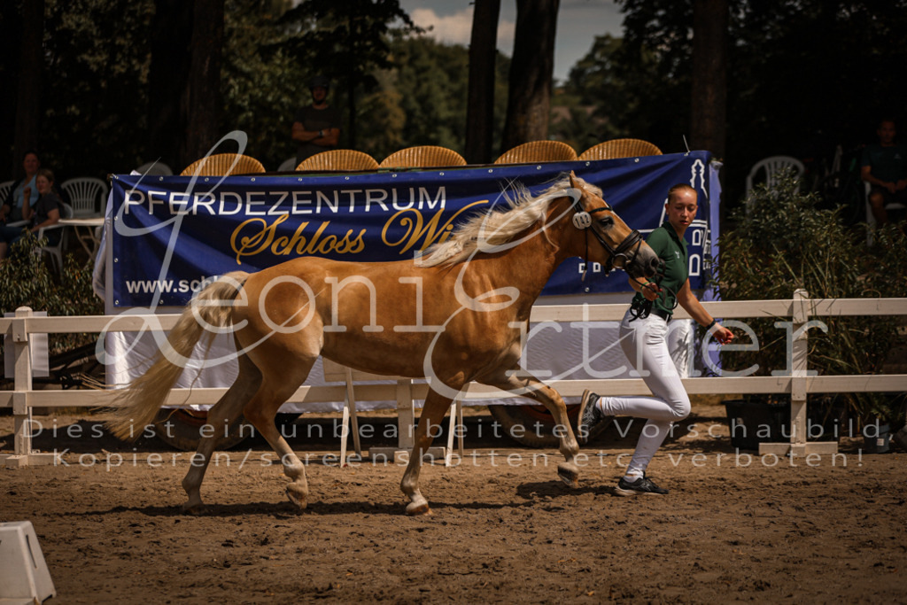 06.So00048 | Leoni Ertmer Photography - Realisiert mit Pictrs.com