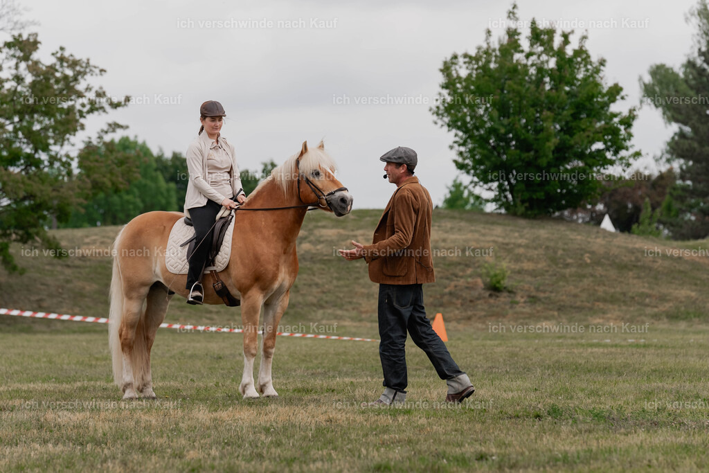 Showprogramm-52 | working equitationturnier fotograf videograf stoibphotography marixx film working equitation deutschland reitsport turnierfotografie eventfotografie equestrian events