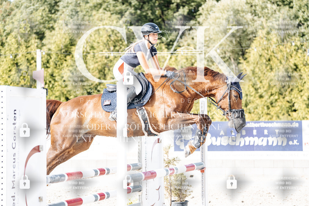 CK906081 | Turnierfotografie Pferdefotografie Trier Rheinland-Pfalz Pferdesport Reitsport Tierfotografie Sportfotografie Pferdevideo Pferdevideografie Equestrianvideography equestrianphotography  - Realisiert mit Pictrs.com