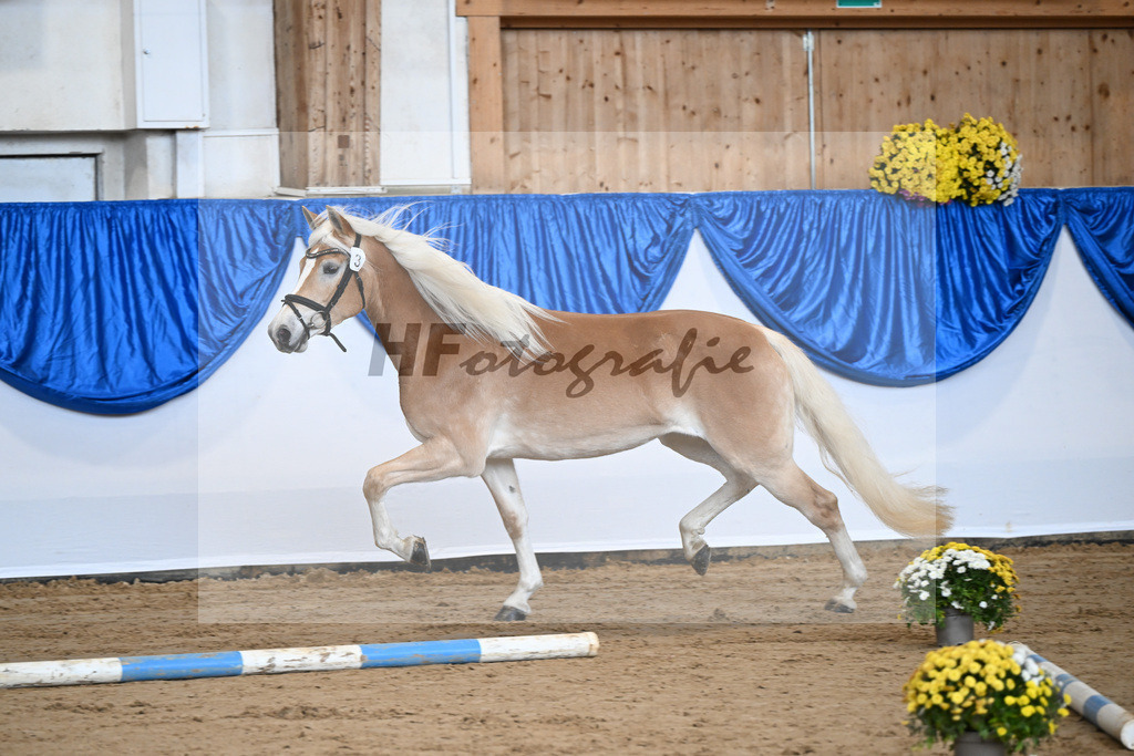 Bl. Band Kat-Nr. 3 Lorena v. Sterlington_Weber_48251248 | hf-fotografie - Realisiert mit Pictrs.com
