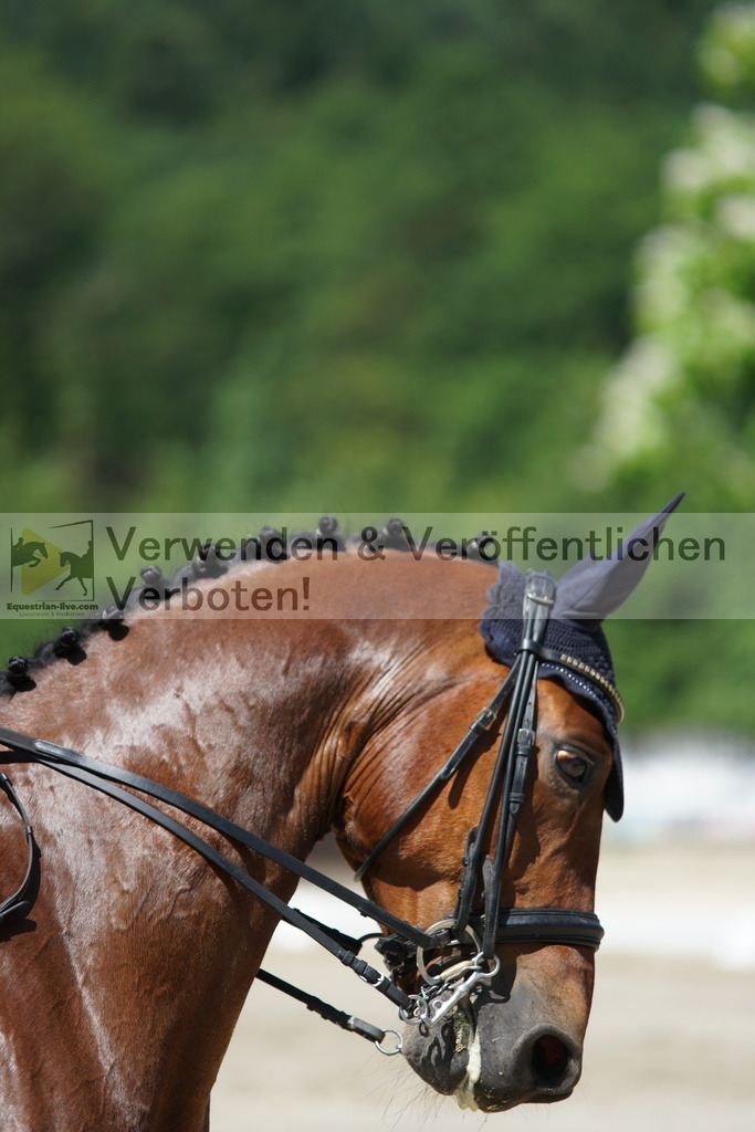 DSC03201 | equestrian-live-com